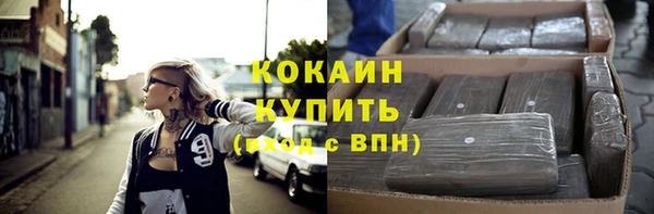 твердый Коряжма