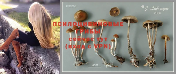 твердый Коряжма
