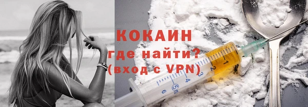 твердый Коряжма